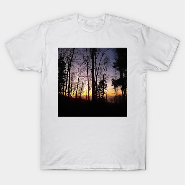 Trees Silhouette Colorful Sunset in Zagreb, Croatia T-Shirt by DesignMore21